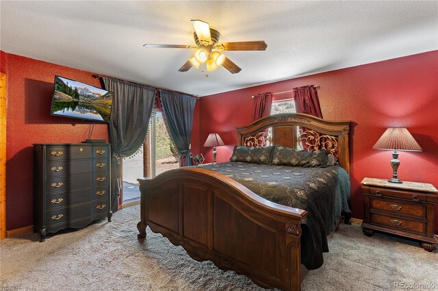 507 Van Egmond Dr, Penrose, CO 81240 - photo 16