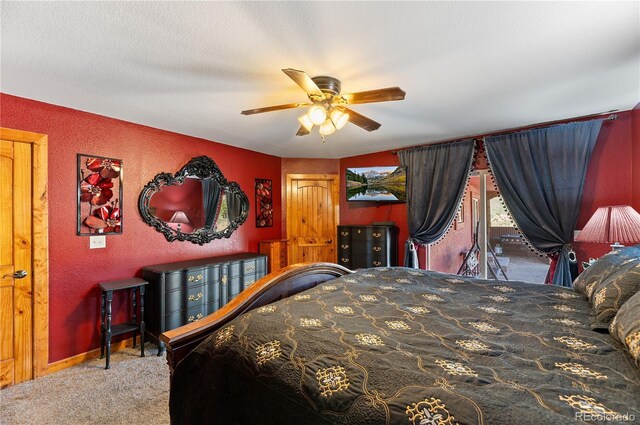 507 Van Egmond Dr, Penrose, CO 81240 - photo 17
