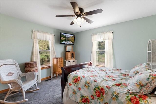 507 Van Egmond Dr, Penrose, CO 81240 - photo 20