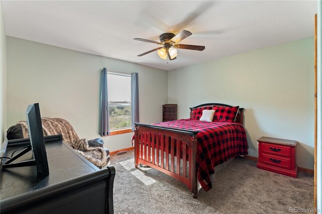 507 Van Egmond Dr, Penrose, CO 81240 - photo 23