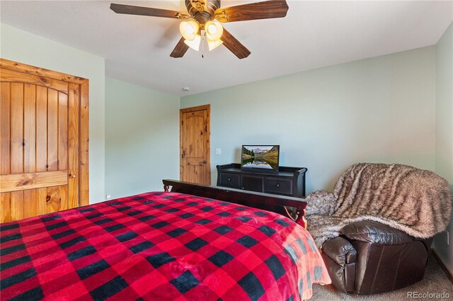507 Van Egmond Dr, Penrose, CO 81240 - photo 24