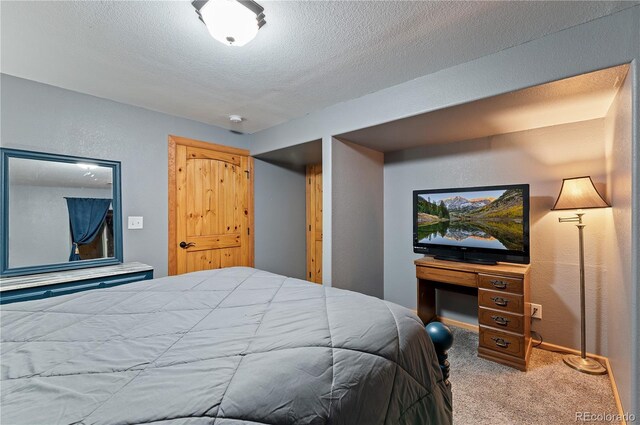507 Van Egmond Dr, Penrose, CO 81240 - photo 37
