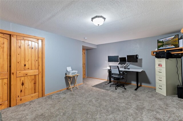 507 Van Egmond Dr, Penrose, CO 81240 - photo 38