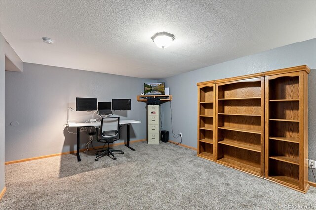 507 Van Egmond Dr, Penrose, CO 81240 - photo 39