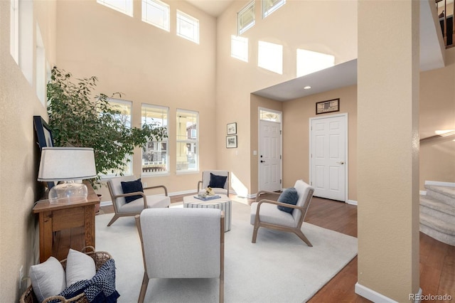 living room featuring a high ceiling and hardwood / wood-style flooring