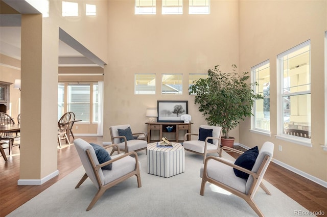 living room featuring a towering ceiling, hardwood / wood-style floors, and a wealth of natural light