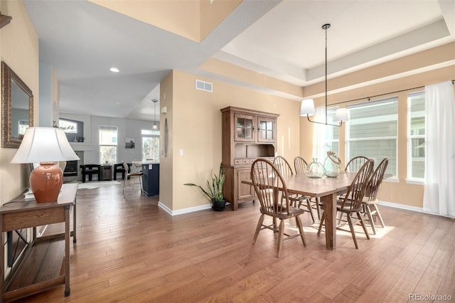 dining room featuring a tray ceiling and wood-type flooring