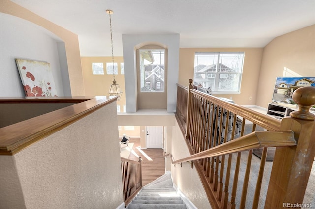 stairs featuring hardwood / wood-style floors