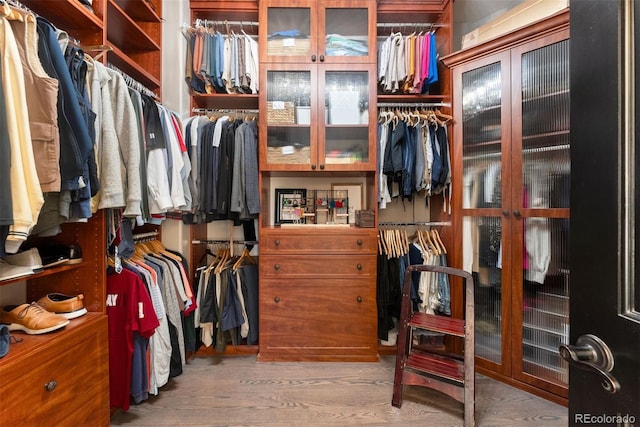 walk in closet featuring hardwood / wood-style flooring