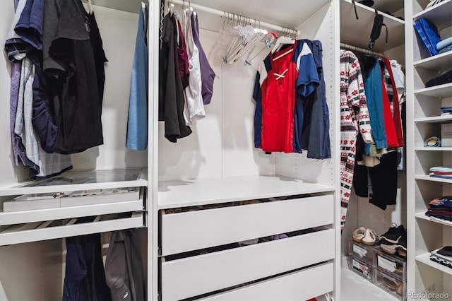 view of spacious closet