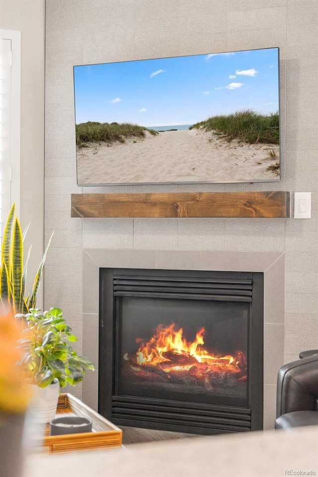 2528 Concord Cir, Lafayette, CO 80026 - detailed view of a glass covered fireplace