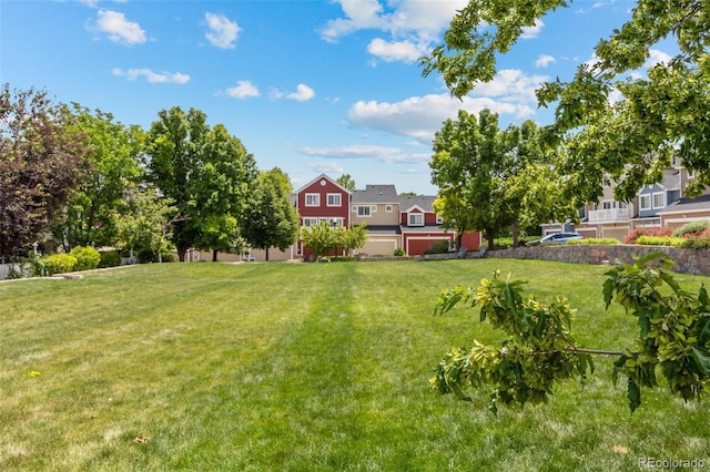 2528 Concord Cir, Lafayette, CO 80026 - view of green lawn
