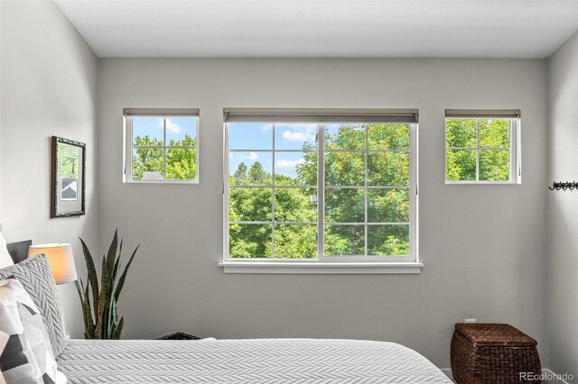 2528 Concord Cir, Lafayette, CO 80026 - bedroom featuring multiple windows
