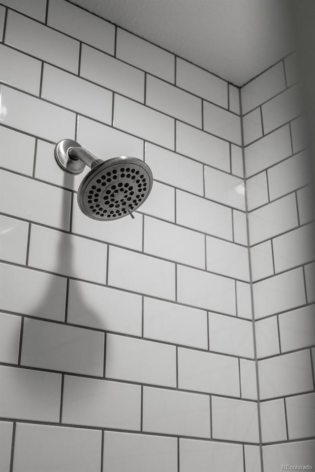 2528 Concord Cir, Lafayette, CO 80026 - bathroom view of a tile shower