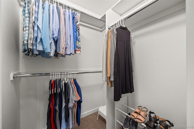 2528 Concord Cir, Lafayette, CO 80026 - walk in closet with carpet