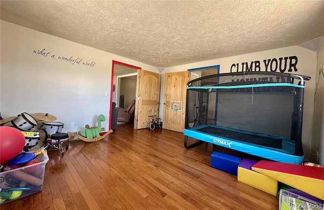 98 Baylor Dr, Buena Vista, CO 81211 - rec room featuring hardwood / wood-style floors and a textured ceiling