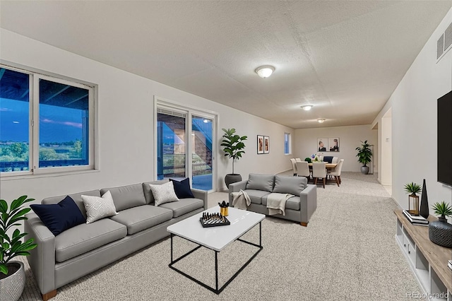 1838 Mountain Daisy Ct, Highlands Ranch, CO 80129 - living room featuring carpet flooring and a textured ceiling