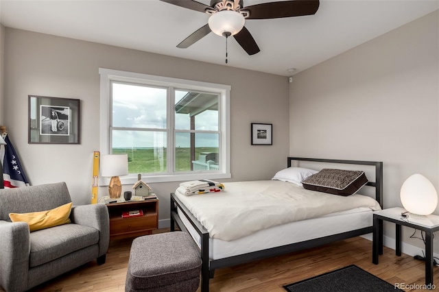 19500 Wedemeyer Rd, Kiowa, CO 80117 - bedroom with wood finished floors and ceiling fan