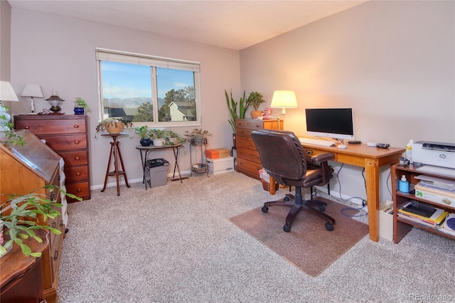 view of carpeted office space