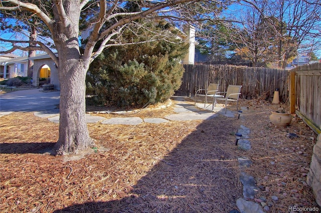 view of yard with a patio