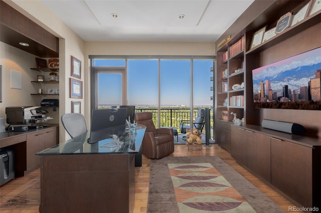 home office featuring light wood-type flooring