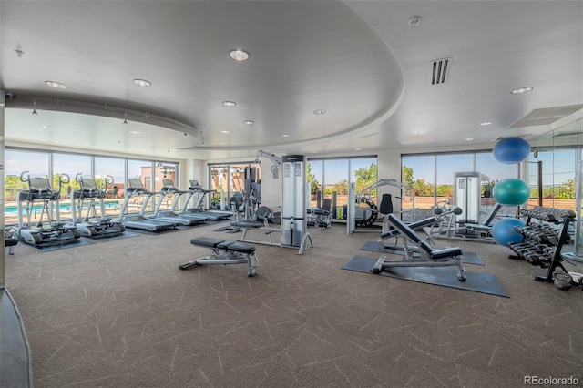 exercise room with a wall of windows, plenty of natural light, and carpet floors