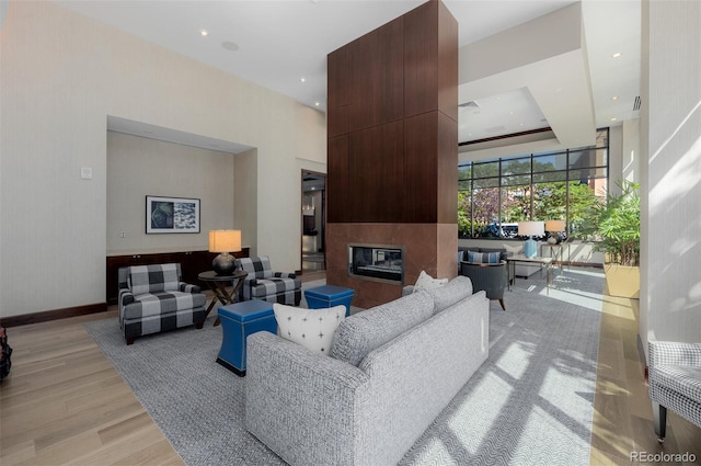 living room featuring a fireplace and light hardwood / wood-style floors