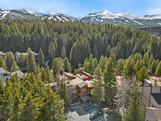 805 Columbine Rd Unit 202, Breckenridge, CO 80424 - bird's eye view of a forest and mountains