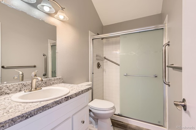 full bath featuring a shower stall, toilet, lofted ceiling, and vanity