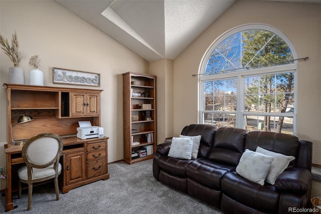 office area featuring a wealth of natural light, light carpet, a textured ceiling, and high vaulted ceiling