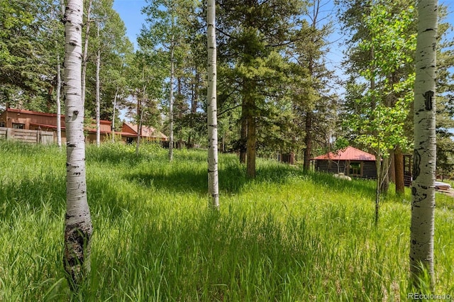 10990 Oehlman Ave, Conifer, CO 80433 - view of yard