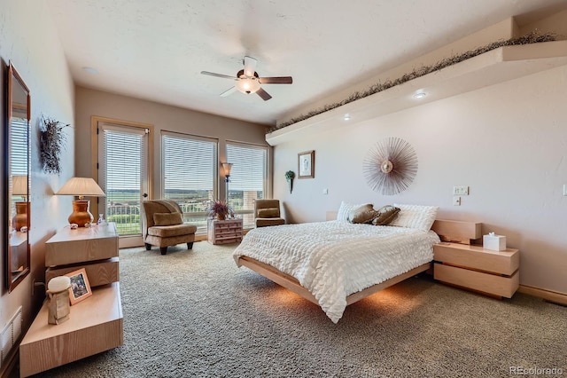 19629 Royal Troon Dr, Monument, CO 80132 - photo 20