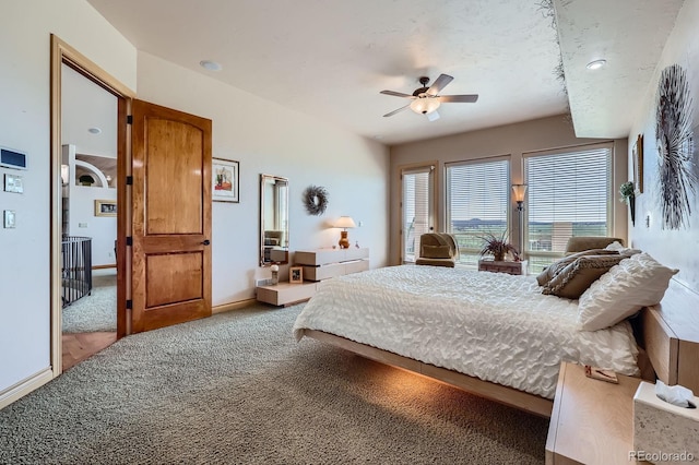 19629 Royal Troon Dr, Monument, CO 80132 - photo 21