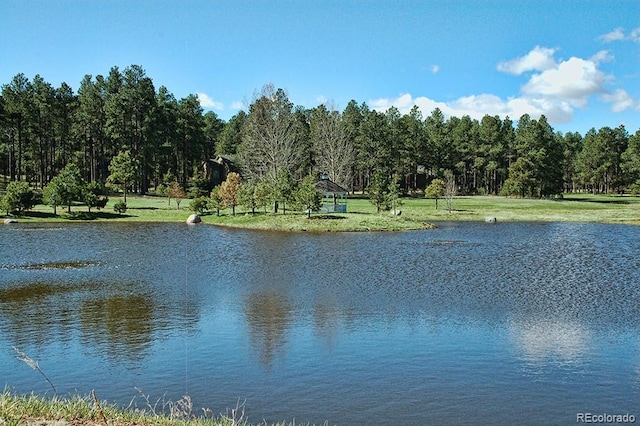 19629 Royal Troon Dr, Monument, CO 80132 - photo 47