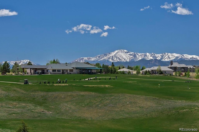 19629 Royal Troon Dr, Monument, CO 80132 - photo 48