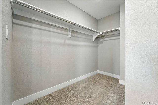 2074 S Holly St Unit 2, Denver, CO 80222 - walk in closet with carpet floors