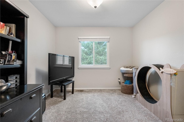 9631 S Dover Way, Littleton, CO 80127 - washroom with light carpet and baseboards