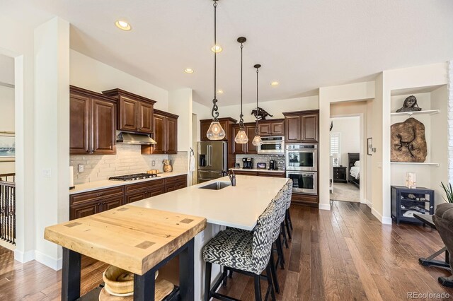 14969 Elsinore Ave, Parker, CO 80134 - kitchen with stainless steel appliances, under cabinet range hood, a sink, dark brown cabinets, and light countertops