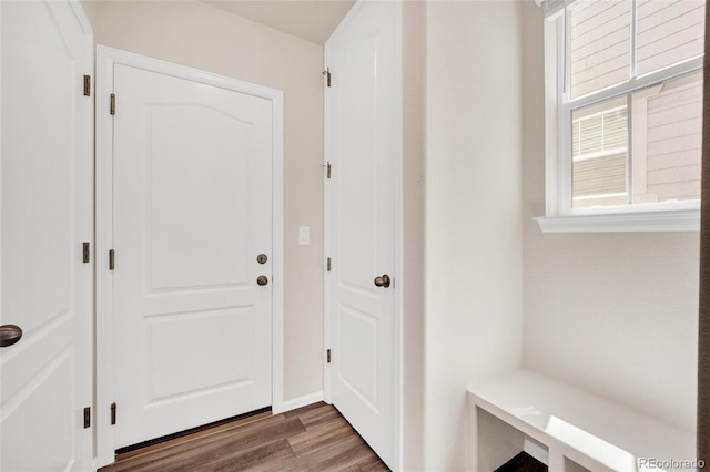3325 Umber Cir, Castle Rock, CO 80109 - doorway with wood finished floors