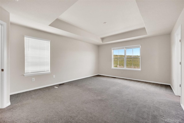 3325 Umber Cir, Castle Rock, CO 80109 - spare room with a raised ceiling, carpet flooring, and baseboards