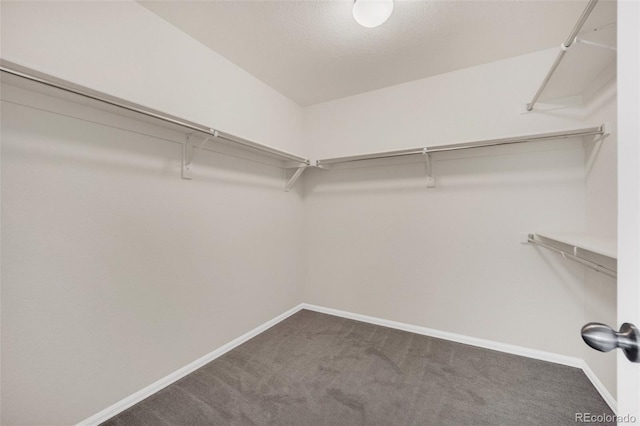 3325 Umber Cir, Castle Rock, CO 80109 - walk in closet with carpet