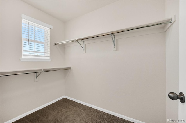 3325 Umber Cir, Castle Rock, CO 80109 - walk in closet featuring dark carpet