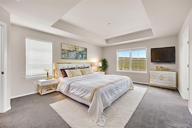 3325 Umber Cir, Castle Rock, CO 80109 - photo 22