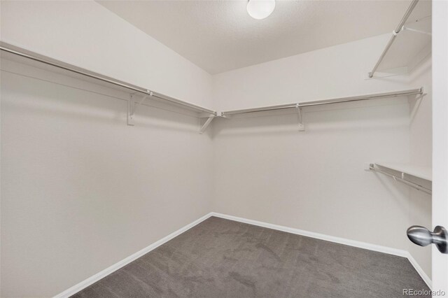 3325 Umber Cir, Castle Rock, CO 80109 - photo 28