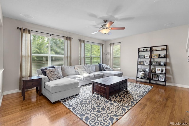 6040 Virgil St, Arvada, CO 80403 - living room featuring plenty of natural light, a ceiling fan, and wood finished floors