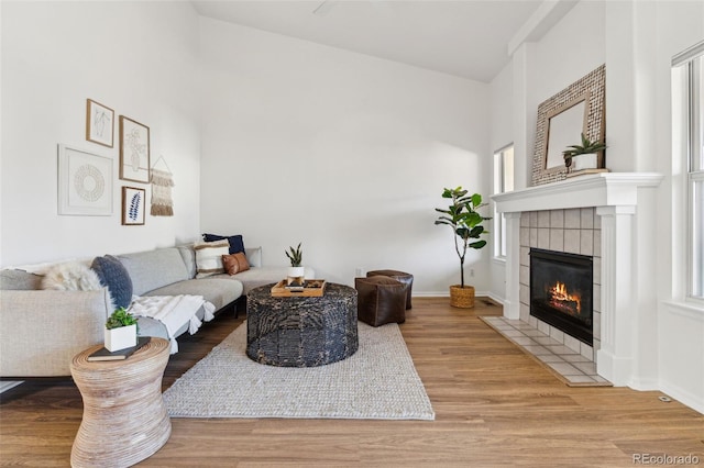 living room featuring a fireplace and light hardwood / wood-style floors