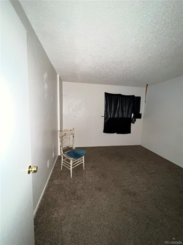 interior space with a textured ceiling and carpet floors