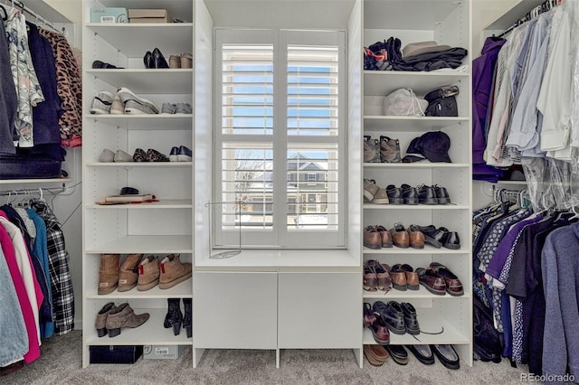 spacious closet featuring carpet floors