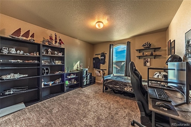 12420 Mount Belford Way, Peyton, CO 80831 - carpeted office space with a textured ceiling
