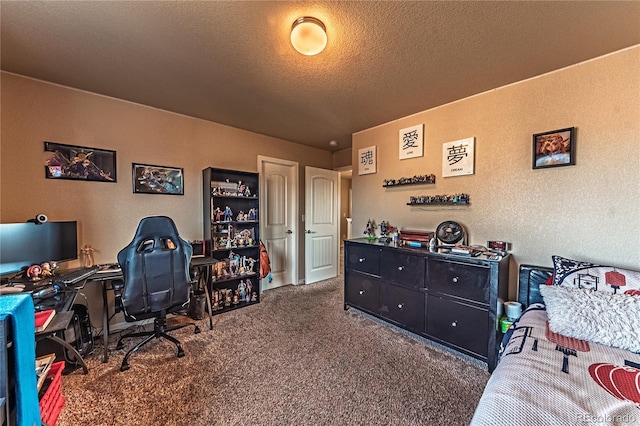 12420 Mount Belford Way, Peyton, CO 80831 - carpeted office space featuring a textured wall and a textured ceiling